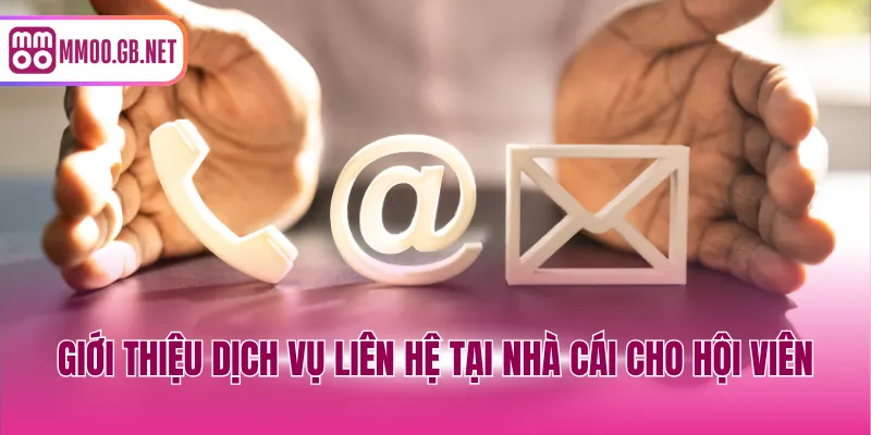 Giới thiệu dịch vụ liên hệ tại nhà cái cho hội viên