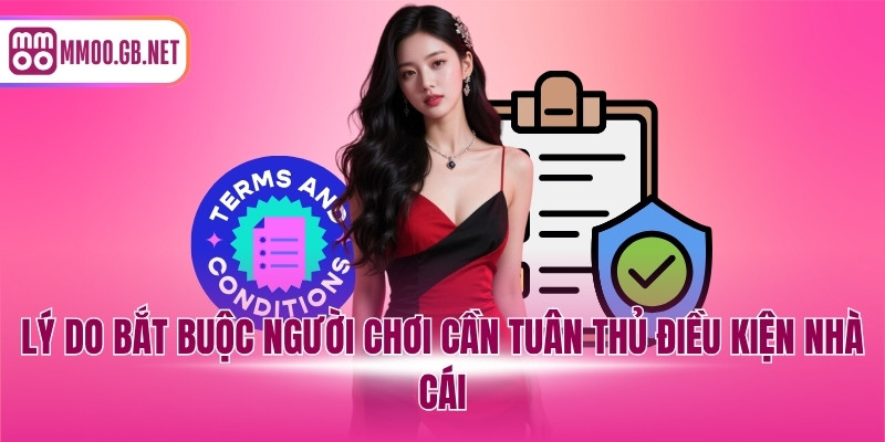 Lý do bắt buộc người chơi cần tuân thủ điều kiện nhà cái