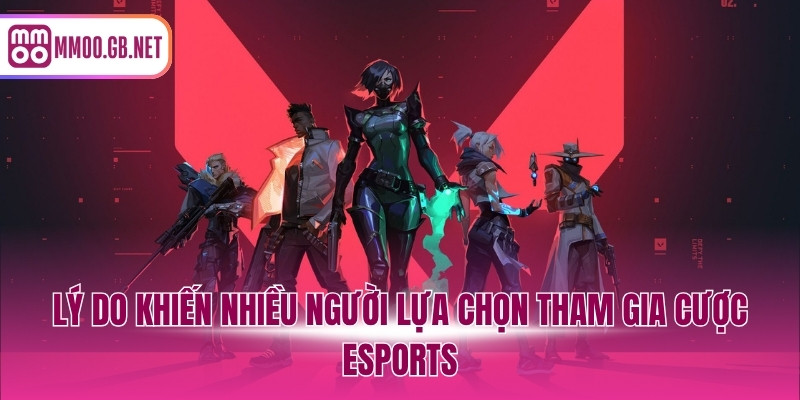 Lý do khiến nhiều người lựa chọn tham gia cược Esports