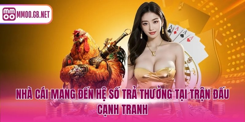 Nhà cái mang đến hệ số trả thưởng tại trận đấu cạnh tranh